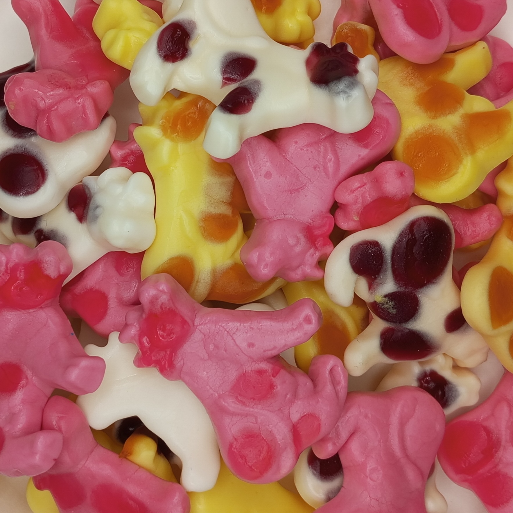AUTO-DRAFT - vaches trolli